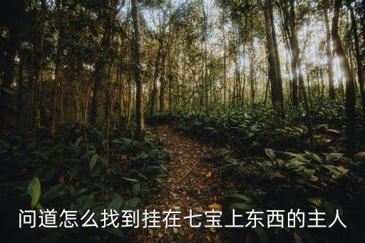 问道怎么找到挂在七宝上东西的主人