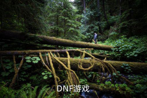 DNF游戏