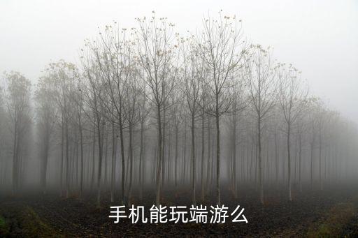 手机上怎么玩战地手游端游，手机能玩端游么