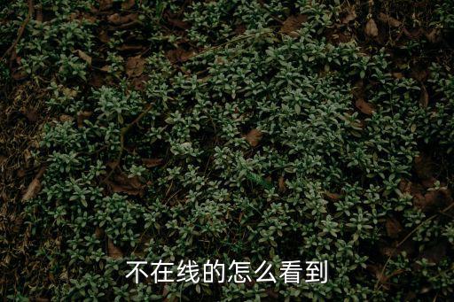 不在线的怎么看到