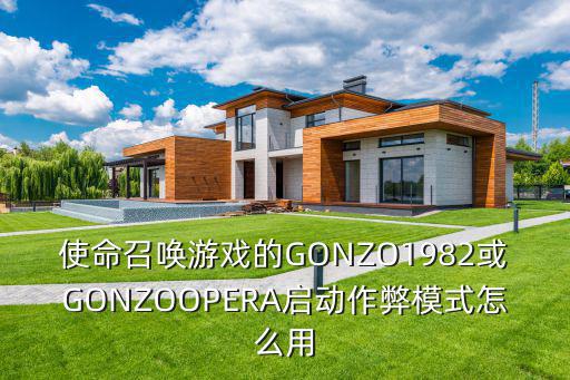 使命召唤游戏的GONZO1982或GONZOOPERA启动作弊模式怎么用