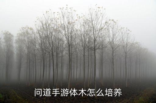 问道手游体木孩子怎么培养，问道手游体木怎么培养