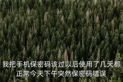 我把手机保密码该过以后使用了几天都正常今天下午突然保密码错误