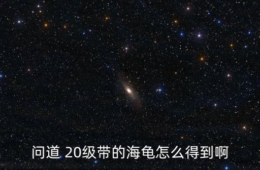 问道 20级带的海龟怎么得到啊