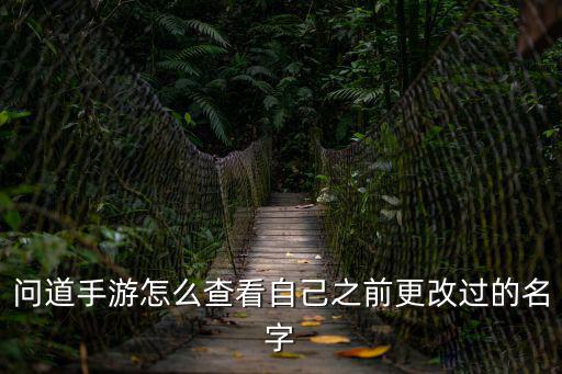 问道手游怎么查自己名字，id查名字 问道