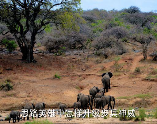 拳皇命运手游神威怎么升级，思路英雄中怎样升级步兵神威