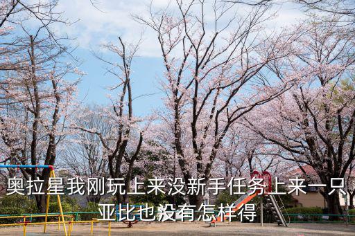 奥拉星我刚玩上来没新手任务上来一只亚比也没有怎样得