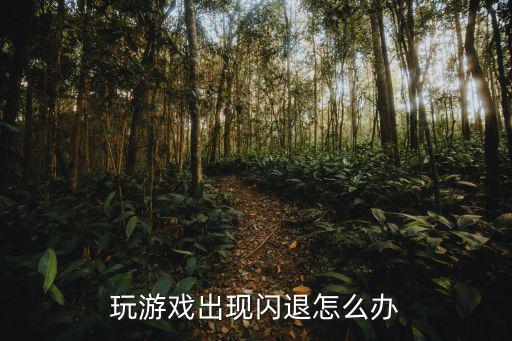 奥丁手游闪退怎么办，ipad玩奥丁闪退