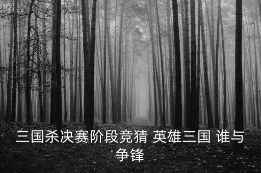 三国杀决赛阶段竞猜 英雄三国 谁与争锋