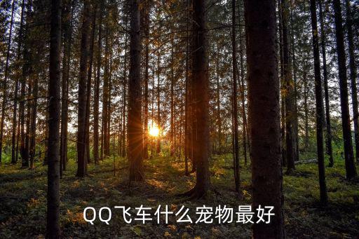 QQ飞车什么宠物最好