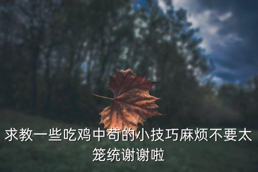 手游吃鸡中怎么跳过去攀爬，求教一些吃鸡中苟的小技巧麻烦不要太笼统谢谢啦