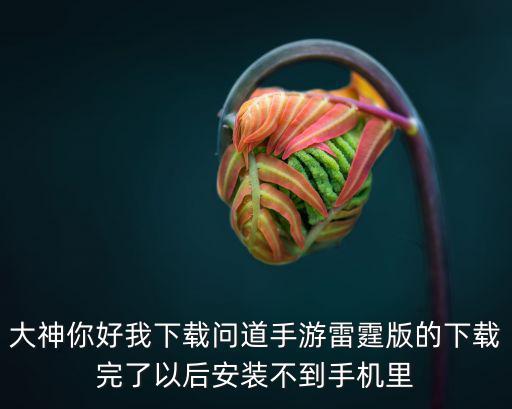 大神你好我下载问道手游雷霆版的下载完了以后安装不到手机里