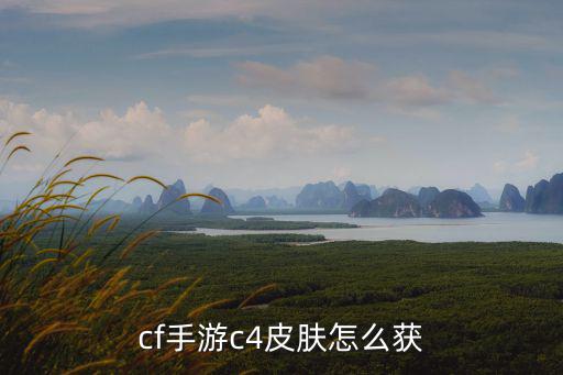 cf手游c4皮肤怎么获