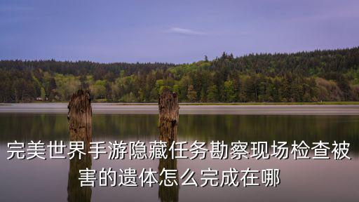 完美世界手游隐藏任务勘察现场检查被害的遗体怎么完成在哪