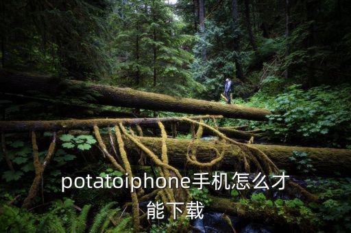 potatoiphone手机怎么才能下载