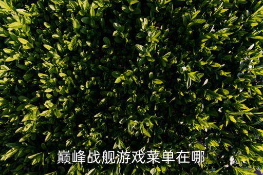 巅峰战舰手游怎么选地图模式，怎么进入地图模式