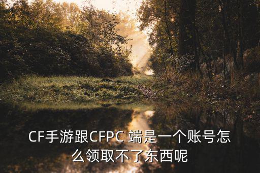 CF手游跟CFPC 端是一个账号怎么领取不了东西呢