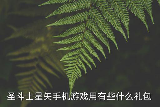 圣斗士星矢手机游戏用有些什么礼包