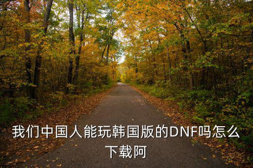 我们中国人能玩韩国版的DNF吗怎么下载阿