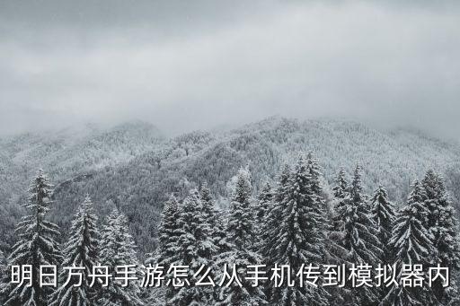 明日方舟手游怎么从手机传到模拟器内