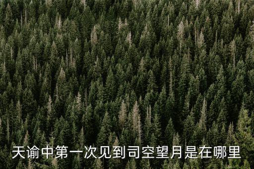 天谕中第一次见到司空望月是在哪里