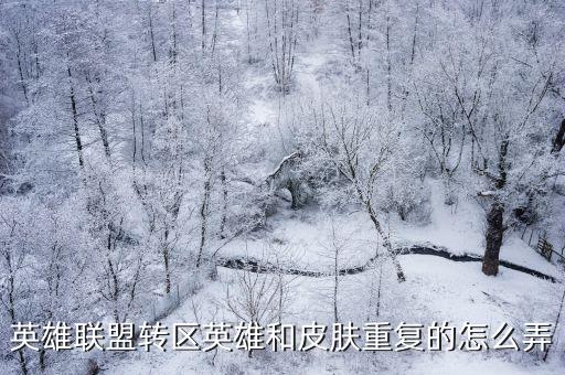 英雄联盟转区英雄和皮肤重复的怎么弄