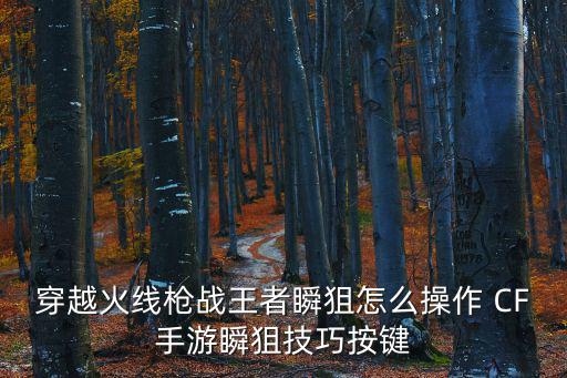 穿越火线枪战王者瞬狙怎么操作 CF手游瞬狙技巧按键