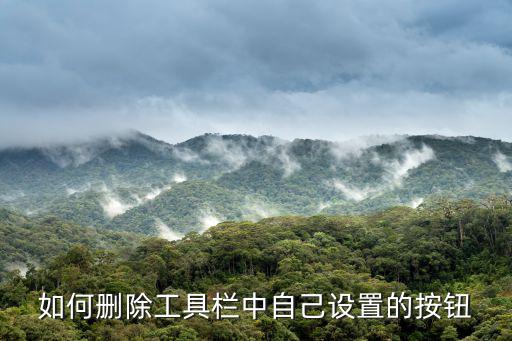 如何删除工具栏中自己设置的按钮