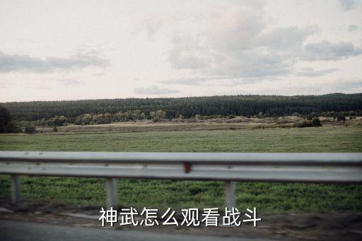 神武4手游怎么观战别人，神武怎么观战 急