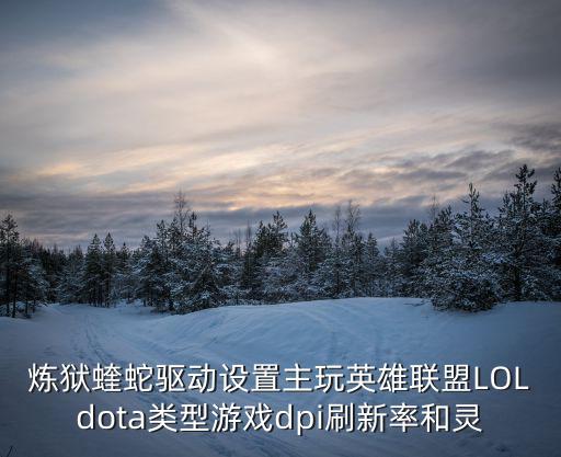 炼狱蝰蛇驱动设置主玩英雄联盟LOLdota类型游戏dpi刷新率和灵