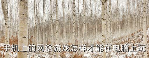 手机上的网络游戏怎样才能在电脑上玩