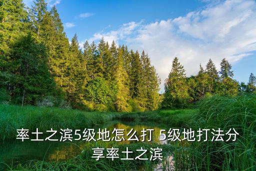 率土之滨5级地怎么打 5级地打法分享率土之滨