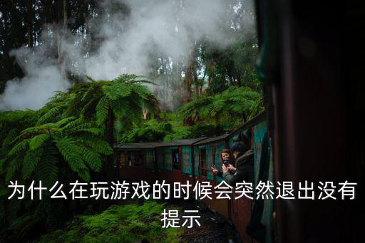 为什么在玩游戏的时候会突然退出没有提示