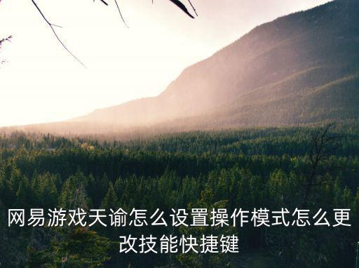 网易游戏天谕怎么设置操作模式怎么更改技能快捷键