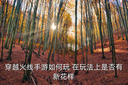 穿越火线手游如何玩 在玩法上是否有新花样