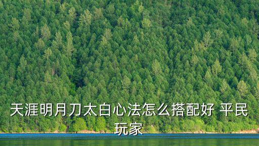 天涯明月刀太白心法怎么搭配好 平民玩家