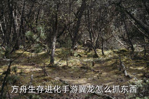 方舟生存进化手游翼龙怎么抓东西