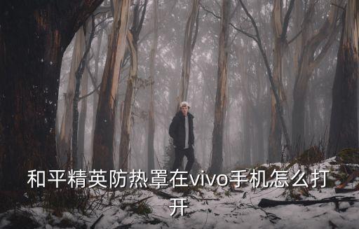 和平精英防热罩在vivo手机怎么打开