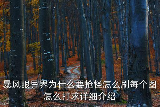 暴风眼异界为什么要抢怪怎么刷每个图怎么打求详细介绍