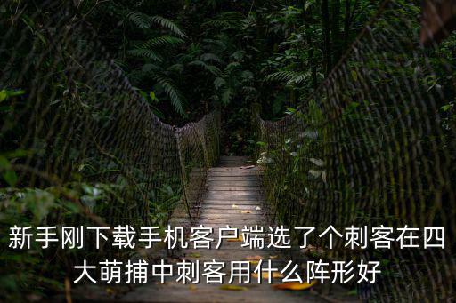 新手刚下载手机客户端选了个刺客在四大萌捕中刺客用什么阵形好