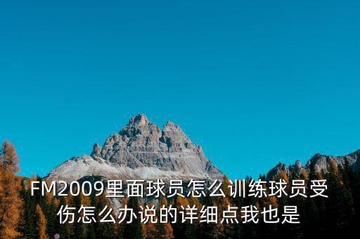 FM2009里面球员怎么训练球员受伤怎么办说的详细点我也是