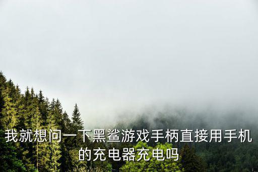 我就想问一下黑鲨游戏手柄直接用手机的充电器充电吗