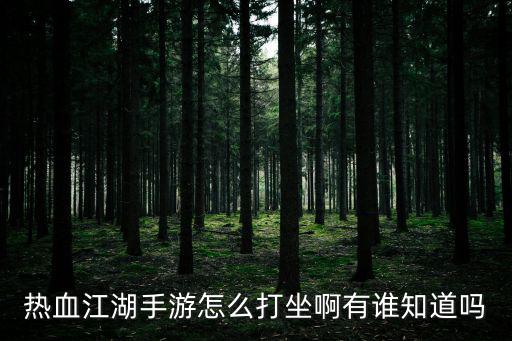 热血江湖手游怎么打坐啊有谁知道吗