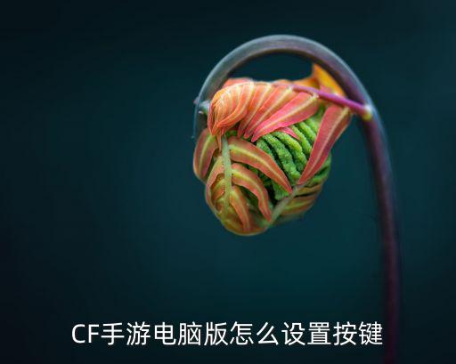 cf手游怎么调节按键位置，CF手游电脑版怎么设置按键