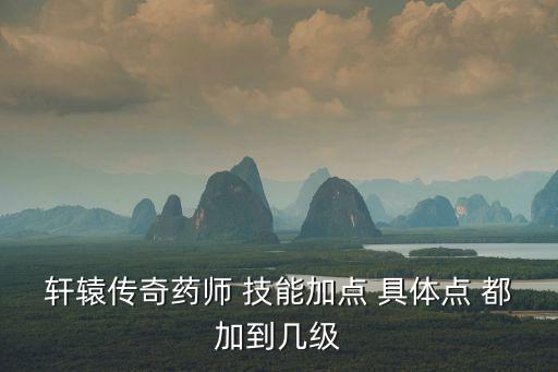 轩辕传奇药师 技能加点 具体点 都加到几级