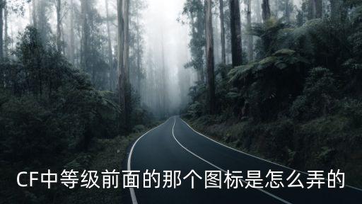 CF中等级前面的那个图标是怎么弄的