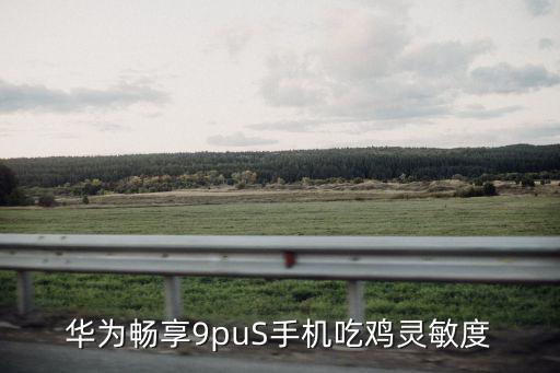华为畅享9puS手机吃鸡灵敏度
