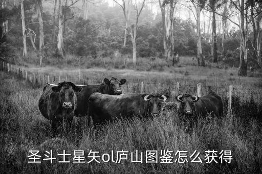 圣斗士手游怎么打开图鉴，圣斗士星矢ol59级可以用图鉴开启黄金圣衣吗