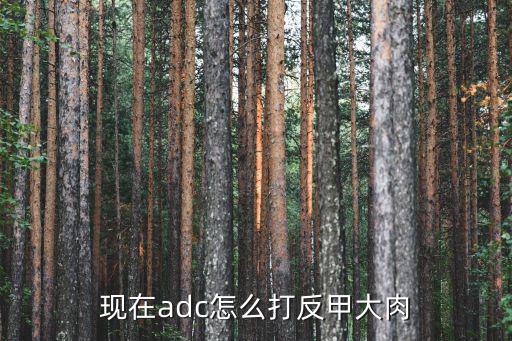 现在adc怎么打反甲大肉