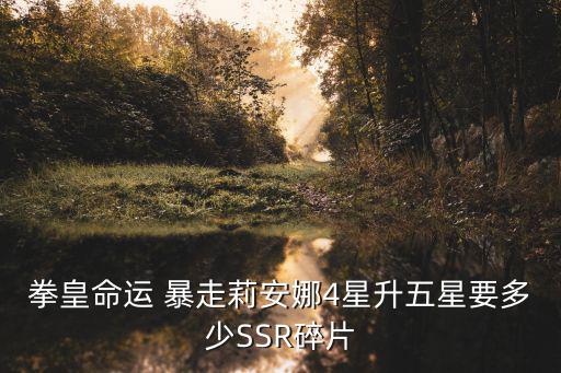 拳皇命运手游ssr碎片怎么获得，SSR是怎样得到的